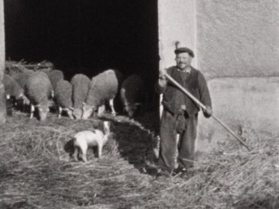 Fête de la transhumance