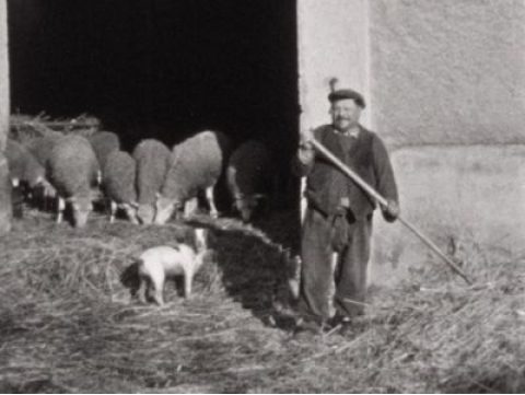 Fête de la transhumance