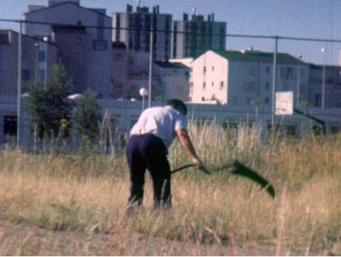 Paysages de banlieue