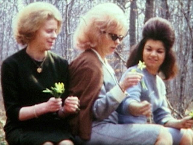 En forêt, en famille, en musique !