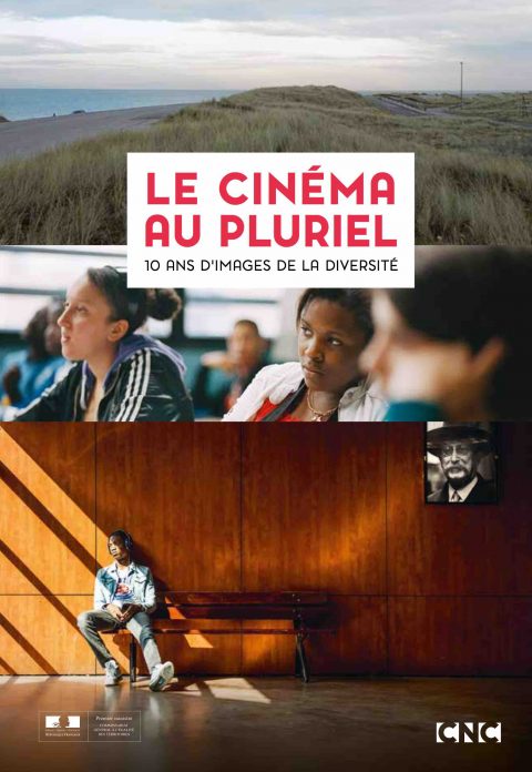 Le cinéma au pluriel